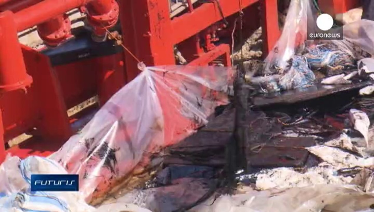 Des bactéries mangeuses de marée noire