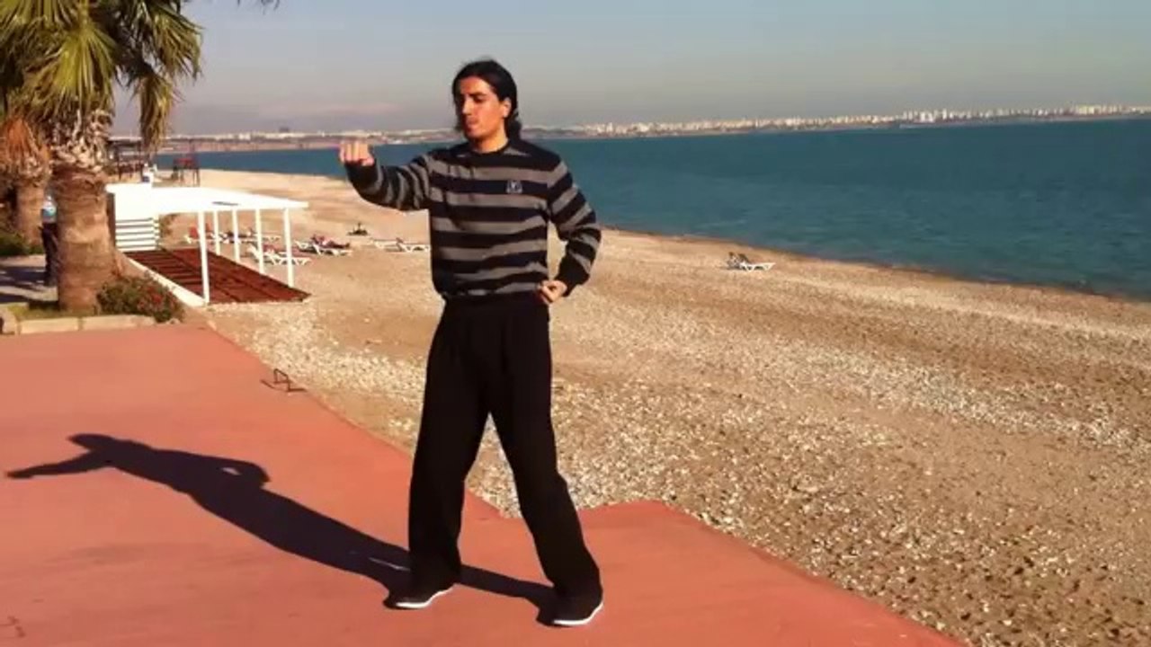 Shi Ba Shi Qigong - Taiji