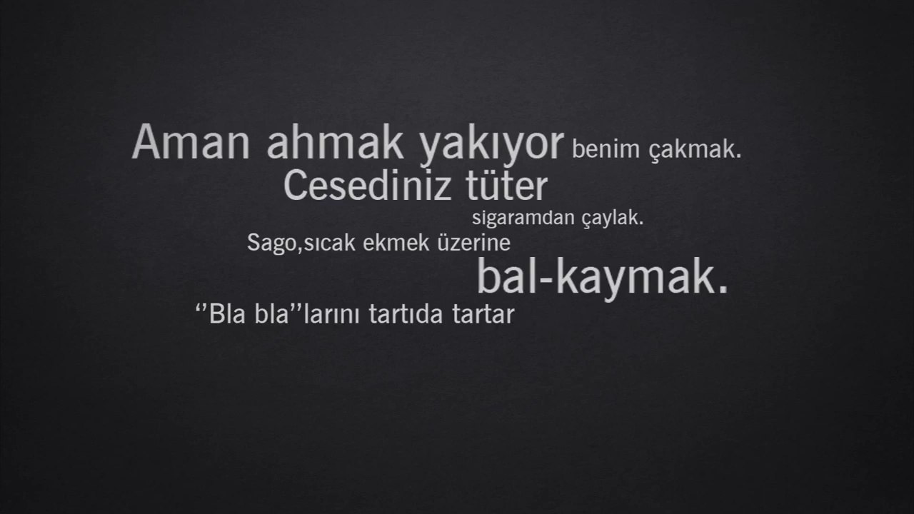 Sagopa Kajmer - Aylak Bakkal (2014)