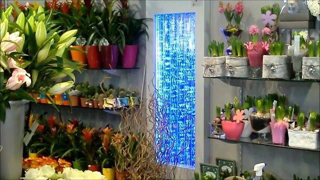 Mur à bulles Décor Action - Monceau Fleurs