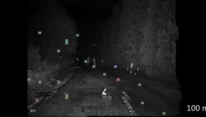 NIGHT VISION, FOREST ROAD - GECE GÖRÜŞ, ORMAN YOLU