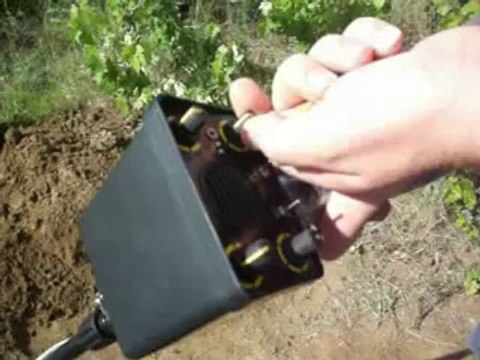 Adrenalin dedektör altın testi