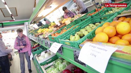 Molène. Les particularités du commerce dans l'île