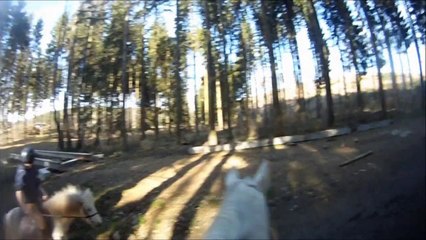 Promenade avec Uschiz & Léon - 29.03.14