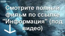 В спорте только девушки онлайн смотреть фильм