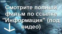 Джек Райан: Теория хаоса онлайн смотреть фильм