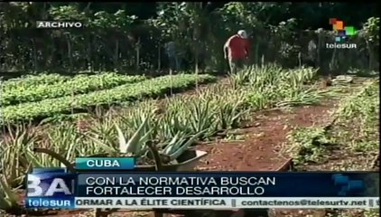 Ley de inversión extranjera en Cuba impulsará el desarrollo