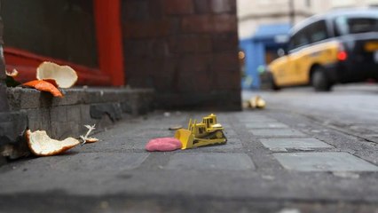 Bizim için küçük olan bazı şeyler, doğa için büyüktür