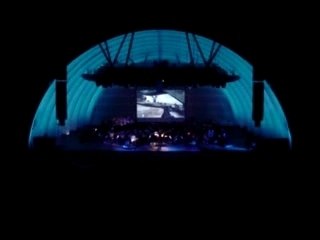 Live Halo Concert Performance 🎮