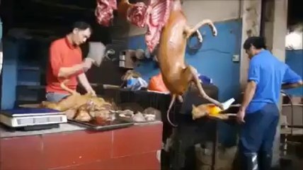 China is a market where dog meat is sold-Tezabi Video