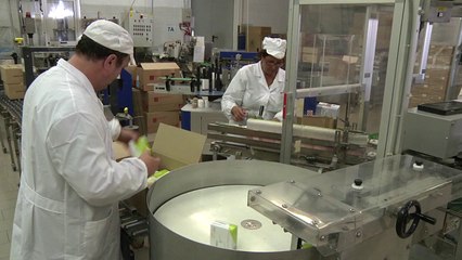 04.06 Conditionnement Quantavillosi