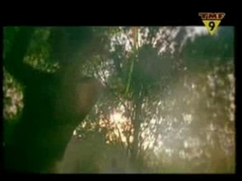 Dj Tiesto & Armin Van Buuren - Eternity