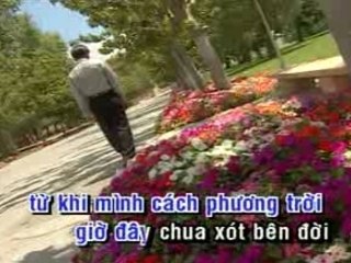 Hat Hiu Tinh Buon - Manh quynh