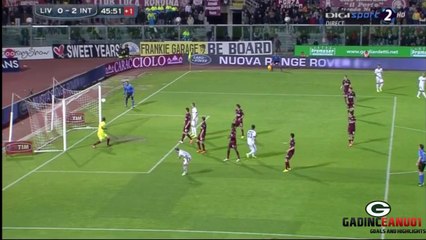 AWESOME GOAL R.PALACIO vs Livorno ~ Livorno vs Inter Milano 0-2 ~ SERIE A [31/03/2014]