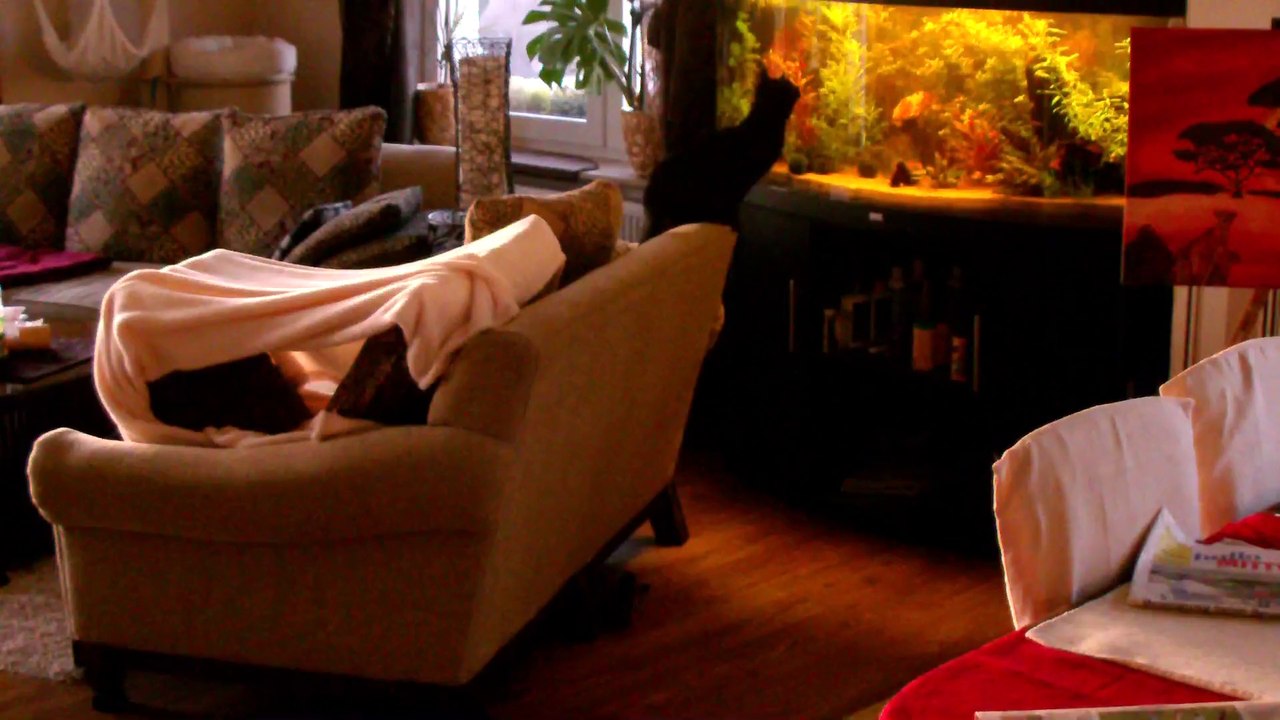 Curry und Mocca Tag 4 -2 09032014