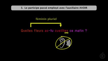 Accord du participe passé ( cas principaux, module 1)