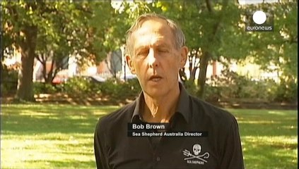 Japan pledges to comply with Antarctic whaling ban