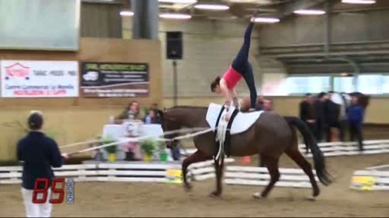 Hippisme : Le concours National élite de voltige (Vendée)