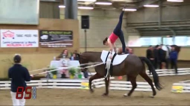 Hippisme : Le concours National élite de voltige (Vendée)