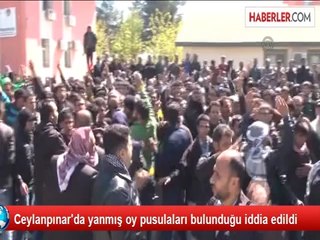 Ceylanpınar'da yanmış oy pusulaları bulunduğu iddia edildi