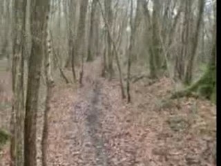 Vtt single track 1 Gouaix