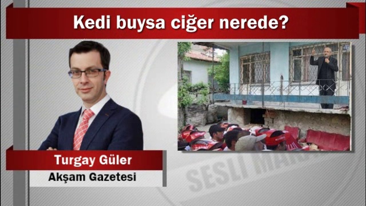 Turgay Güler : Kedi buysa ciğer nerede?