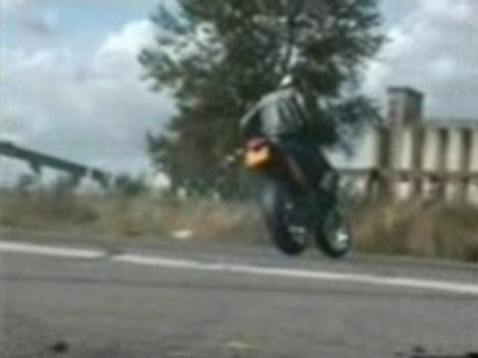 stunt fatalshow