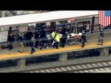 Four injured by flying body parts as train hits man at New Brunswick station, NJ