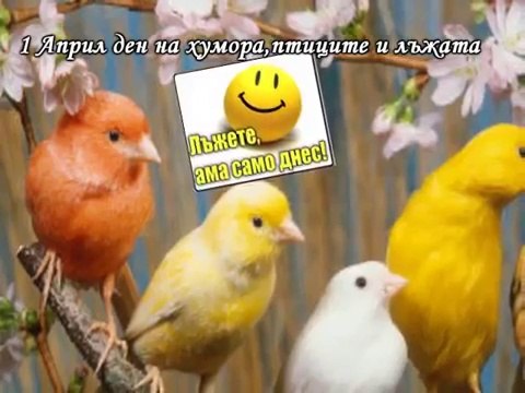 Ден на хумора,птиците и лъжата - Честит 1-ви Април
