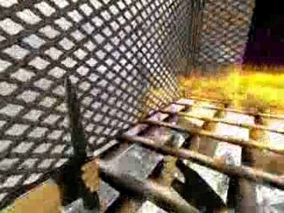 Counter Strike Color