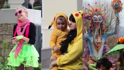 Retour sur le Carnaval de Montélimar 2014