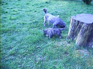 Chanel et Jaudy à 8h30 ce matin