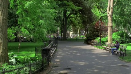 Sound Shapes E3 2011 Trailer