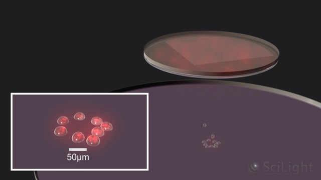 La première impression laser 3D de tissu vivant