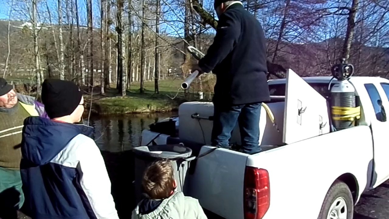 Lâché de truites Farios 2014