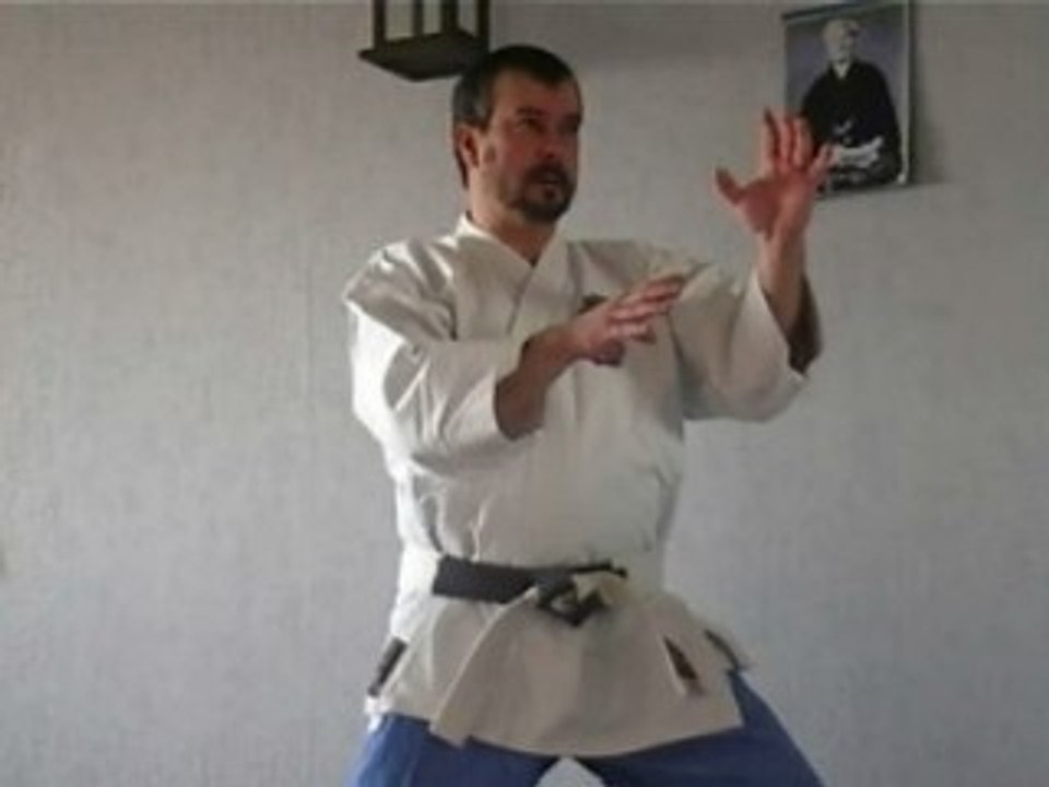 atemis membres superieurs 6 .