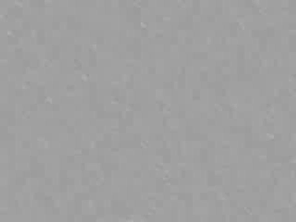 Akon-Belly dancer(www.desiworlds.com)