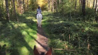 A cheval en Forêt de Compiègne pour faire le plein d’oxygène