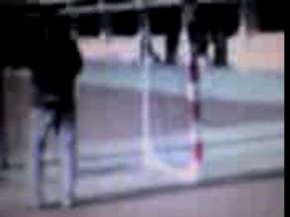 regis gardien de but