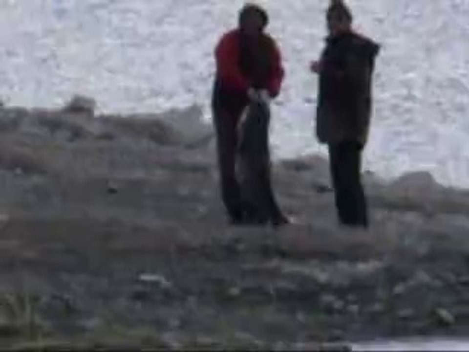 Yayın Balığı Avı Gürol ERMİŞ