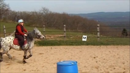 saut avec Merry 31 mars 2014