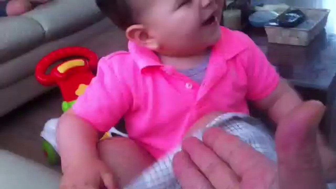 رفيق