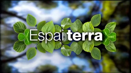 Espai Terra. dilluns 31 de març