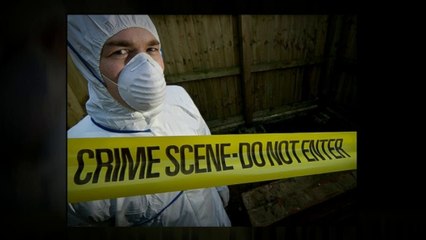 London Safety Clean - Extreme Cleaning Services