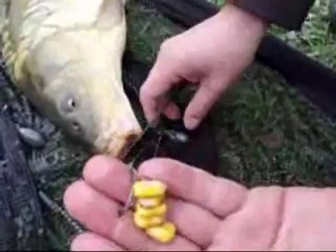 Aynalı Sazan Avı Gürol ERMİŞ