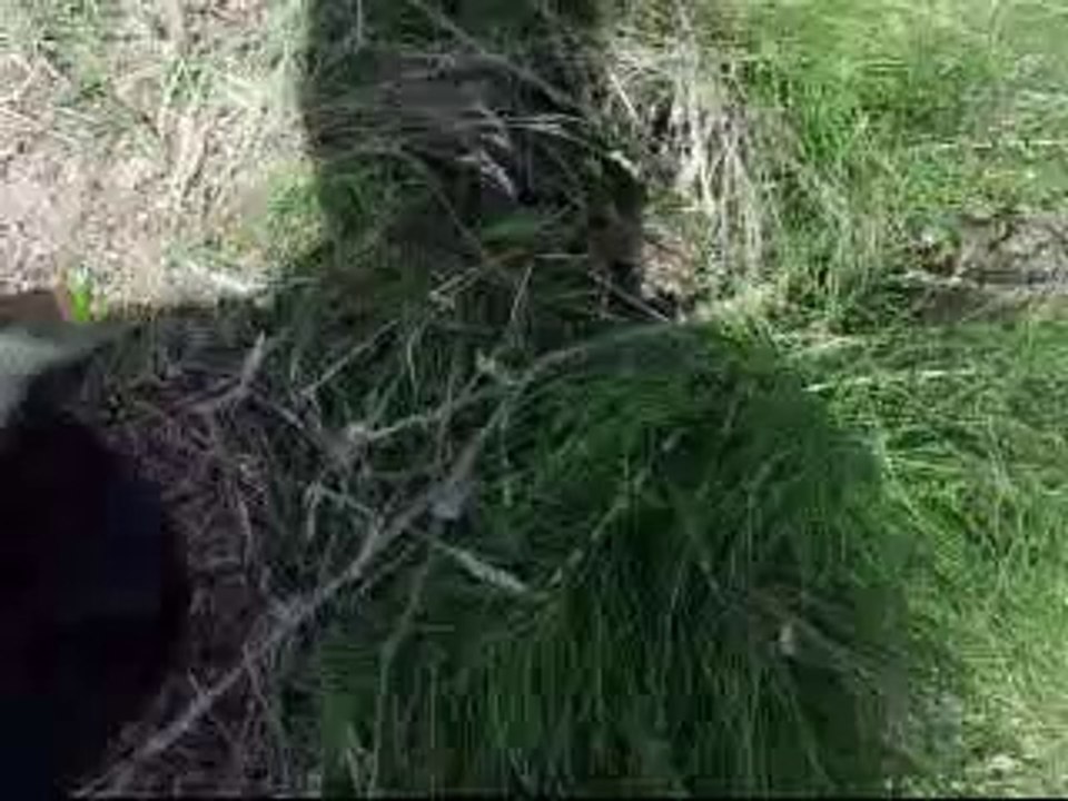 Sazan Avı Gürol ERMİŞ