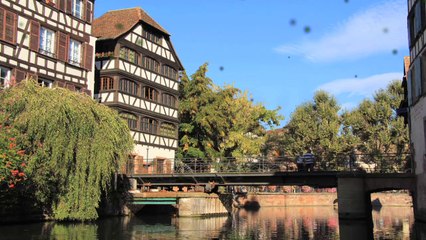 Le printemps aux jardins familiaux