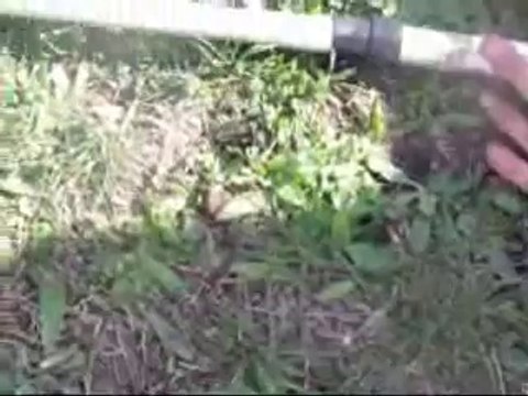 Sazan Avı Gürol ERMİŞ