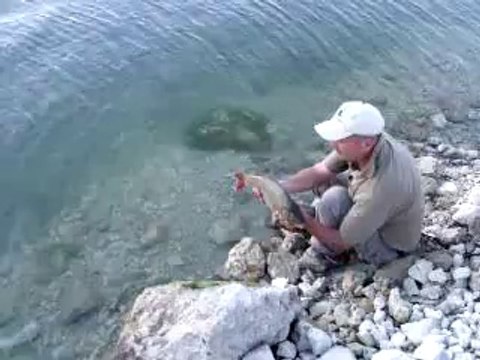 Sazan Avı Yakalama Ve Bırakma Gürol ERMİŞ