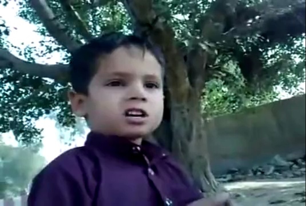 Funny Animals in Punjabi